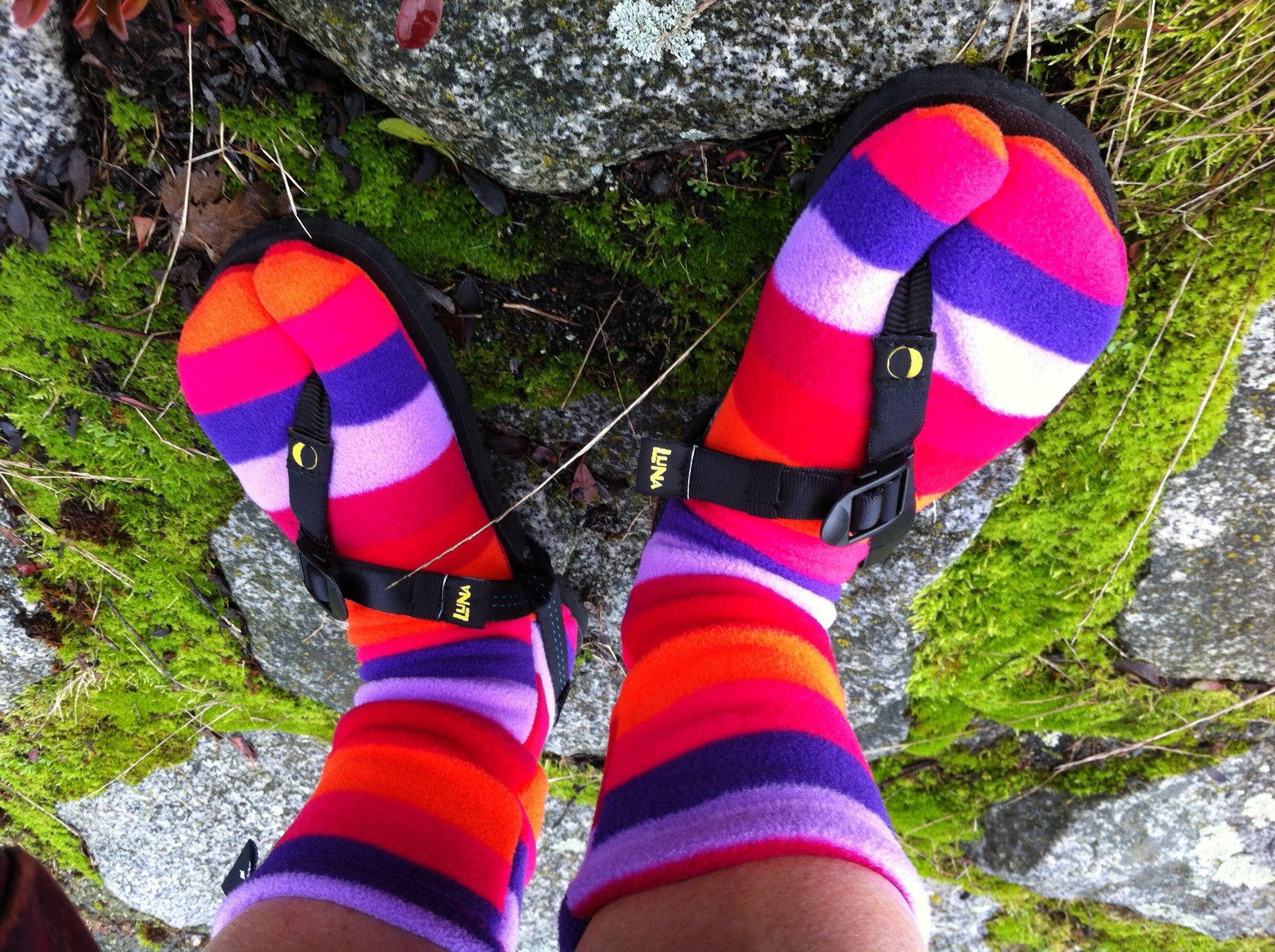 Tabi Socks